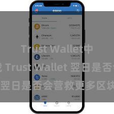 Trust Wallet中国区下载 Trust Wallet 翌日是否会营救更多区块链？