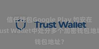 信任钱包Google Play 如安在Trust Wallet中处分多个加密钱包地址？